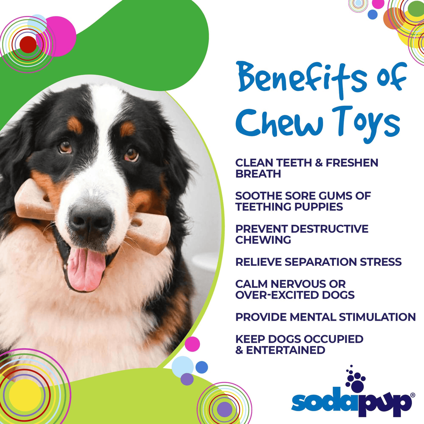 SP MOD Bone Ultra-Durable Chew Toy for Aggressive Dogs