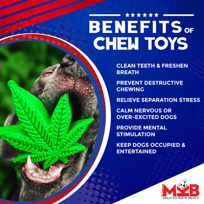 MKB Colorado Maple Leaf Durable Chew Toy for Aggressive Dogs